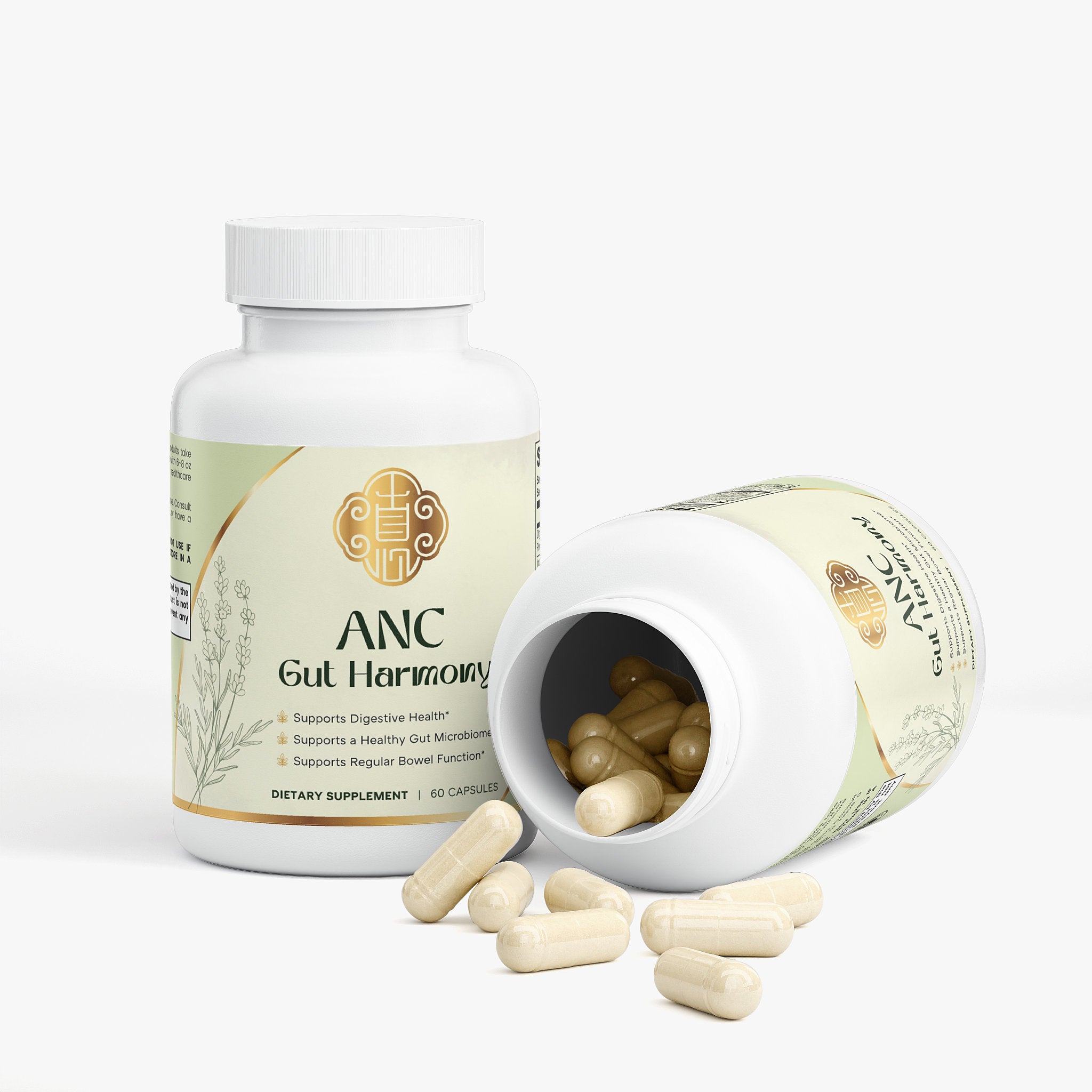 Gut Health